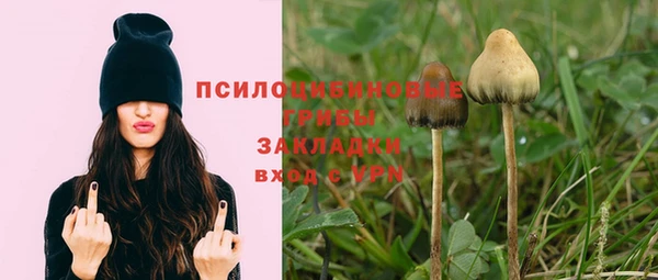 Альфа ПВП Володарск