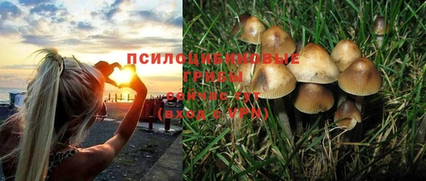 apvp Волосово