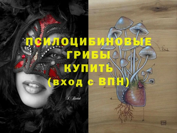 apvp Волосово